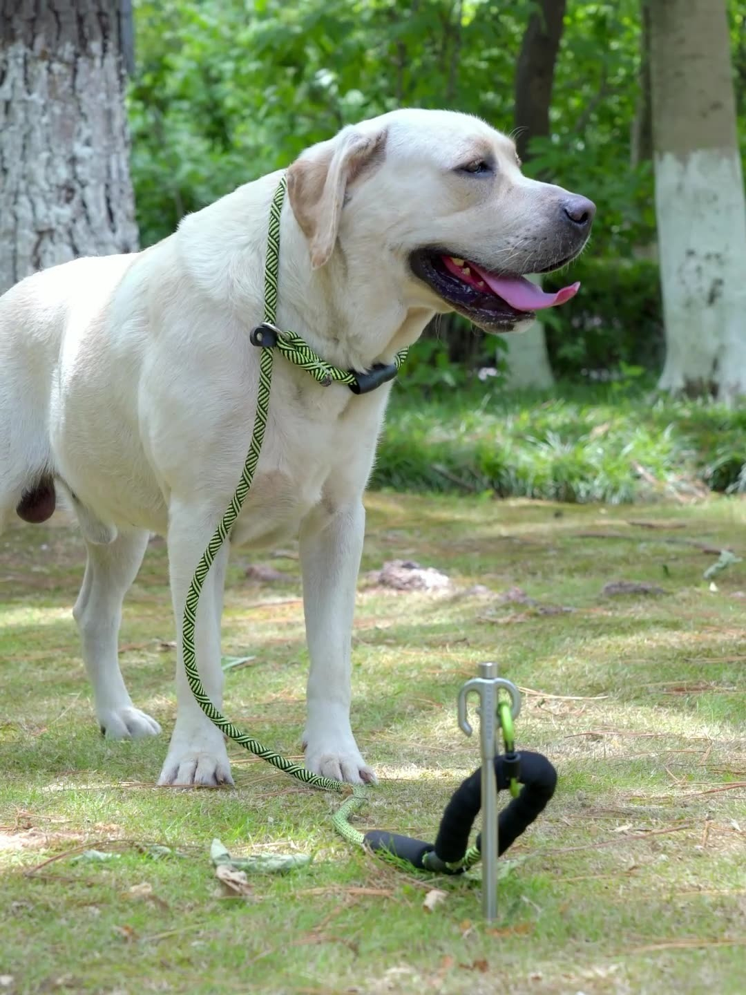 CAMPINGMOON K45 Bold 420 Stain - Outdoor Camping Dog Fence reseña y precio
