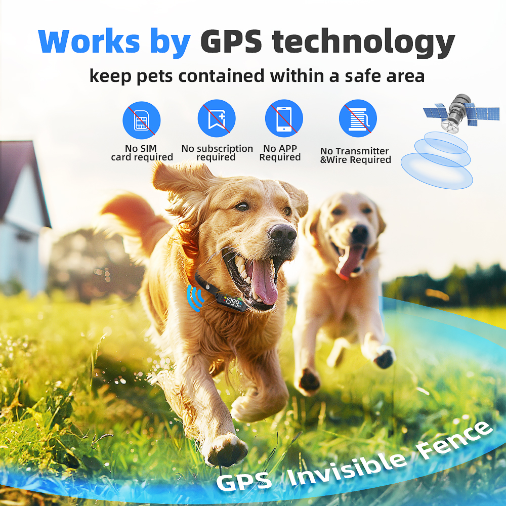 Portable Outdoor Camping IPX7  - Outdoor Camping Dog Fence reseña y precio